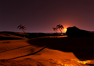 Oasis