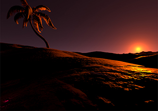 Oasis